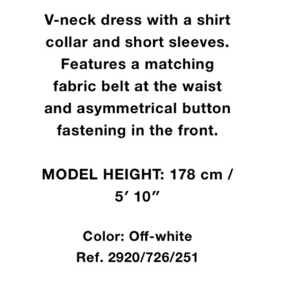 Zara asymmetric button dress - Picture 7 of 10